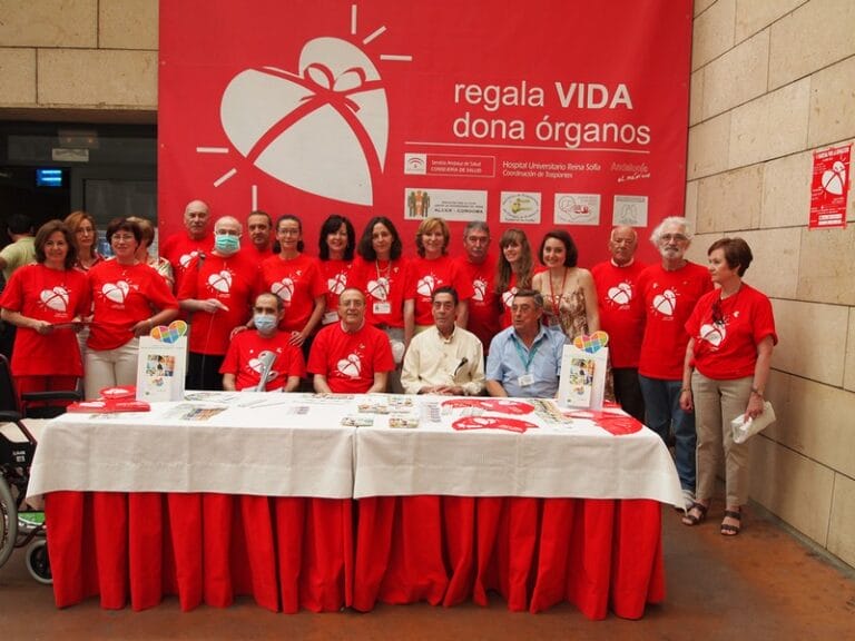 sem-don-2012-15